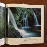伊志井桃雲写真集 ふじの里
