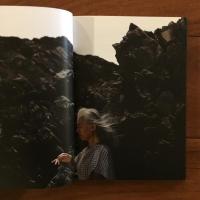 Wasser: die Erinnerung 水の記憶