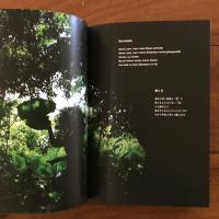 Wasser: die Erinnerung 水の記憶