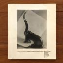 [英]A Collective Vision: Clarence H. White and His Students