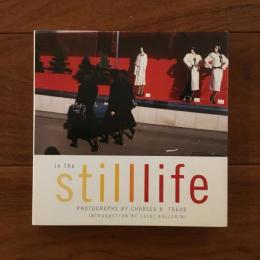 [英]In The Still Life