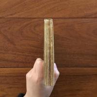 丹沢山の山窩 (山窩小説シリーズ)