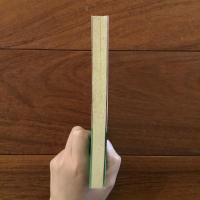 丹沢山の山窩 (山窩小説シリーズ)