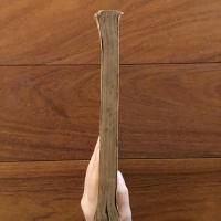 民族と歴史第二巻第一号　特殊部落研究