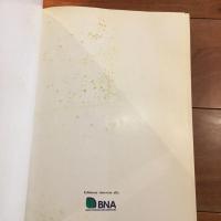 The monumental trees of Italy