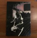 デュシャン 大ガラス と瀧口修造シガー・ボックス