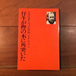 仔牛が樫の木に角突いた