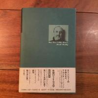 初恋、その他の悲しみ　シリーズ・永遠のアメリカ文学５