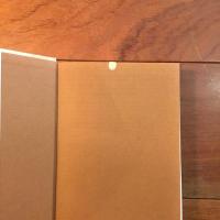 眩暈（めまい）