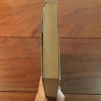 わが名はガンテンバイン 鏡のなかへの墜落