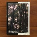 Forest。
