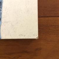 [英]The Disposable Skateboard Bible