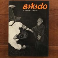[英]aikido