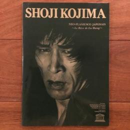 [仏]小島章司フラメンコ'93　ネオ・フラメンコ「夢の中で」　文化庁特別推進事業公演