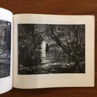 [英]Uelsmann: Process and Perception