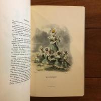 [仏]LES FLEURS ANIMEES