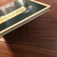 [英]Doris Langley Moore's Book of Scraps: New Verses for Old Pictures