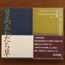 背高あわだち草