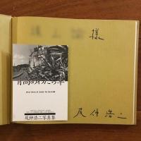 背高あわだち草