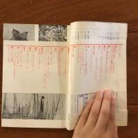 ユリイカ　1960年10月号5巻10号 特集：近代日本の詩人像