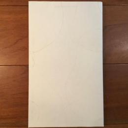 TAKEO DESK DIARY 2015