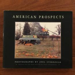 [英]AMERICAN PROSPECTS