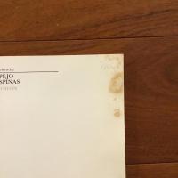 ESPEJO DE ESPINAS