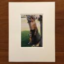 Larry Clark 写真プリント "Kids by a tree"