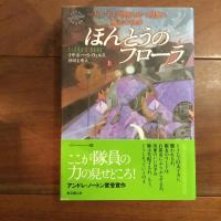 ほんとうのフローラ　上・下／二番目のフローラ　上・下／怒りのフローラ　上・下　6冊揃