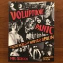 [英]Voluptuous Panic: The Erotic World of Weimar Berlin