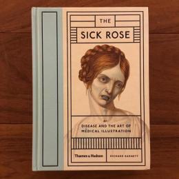 [英]The Sick Rose
