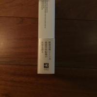 越境と覇権　ロバート・ラウシェンバーグと戦後アメリカ美術の世界的台頭