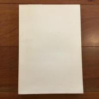 ラトビアの空から飛んで来たMEITA（娘）たち