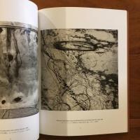 EMMET GOWIN Photographers: 1967-2000