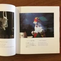 澤本玲子写真集 透明な壁のむこうに For your Imagination Ⅲ: Reiko Sawamoto