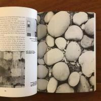 [英]How to Look at Photographers