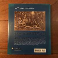 [英]The Tree in Photographs