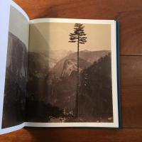 [英]The Tree in Photographs