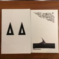 薔薇刑 二十一世紀版