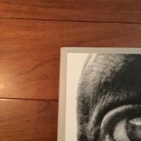 [英]Bill Brandt: A Life