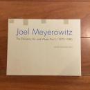 Joel Meyerowitz: The Elements: Air and Water; Part 1 / 1970-1980