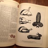 [英]The Cooks' Catalogue