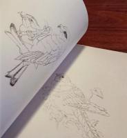 [英]Some British Birds