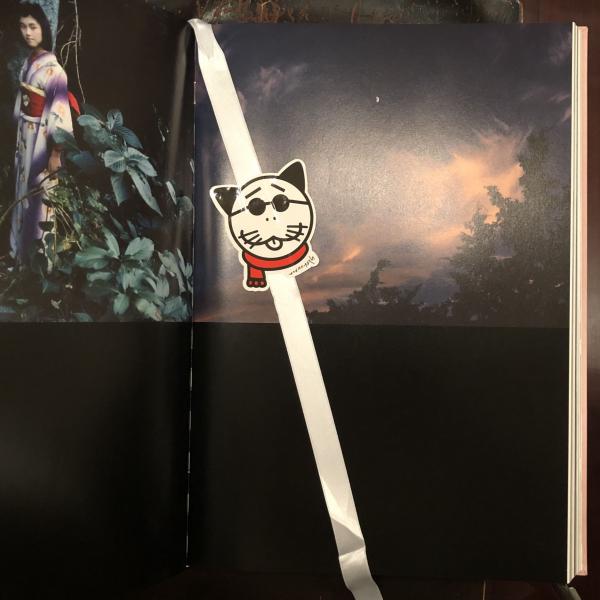 去年　限定2002部　荒木経惟　Nobuyoshi Araki アラーキー アラーキー・バイ・アラーキー / ARAKI by ARAKI（Second