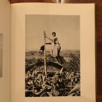 [仏]Edouard Boubat Pauses