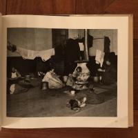 Jacob A. Riis