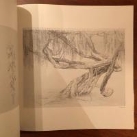 松井冬子画集 Ⅰ(松井冬子) / 古本、中古本、古書籍の通販は「日本の