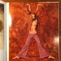 Tapestry : The Paintings of Robert E. McGinnis ロバート・マクジニス
