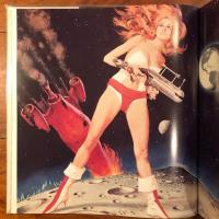 Tapestry : The Paintings of Robert E. McGinnis ロバート・マクジニス