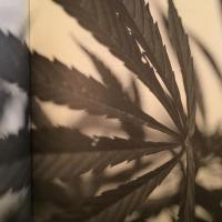 The Hemp Cookbook